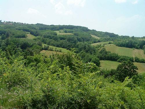 ����������� ���� 2010